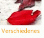 Verschiedenes